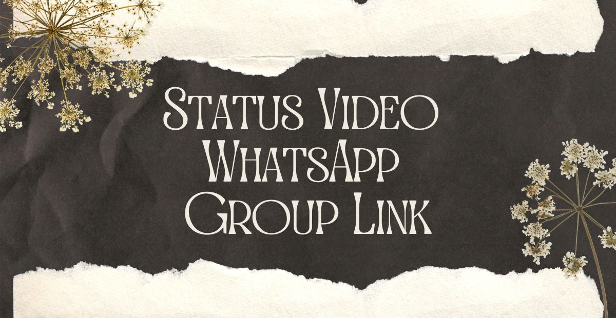 Status Video WhatsApp Group Link
